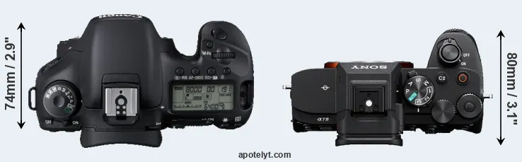 Compare 7D versus A7 IV top