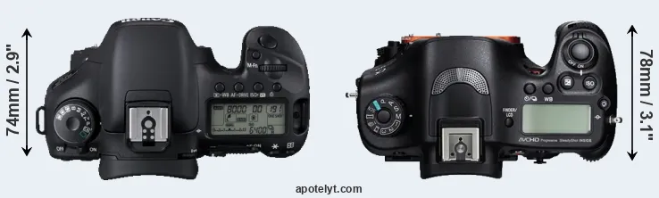 Compare 7D versus A99 top