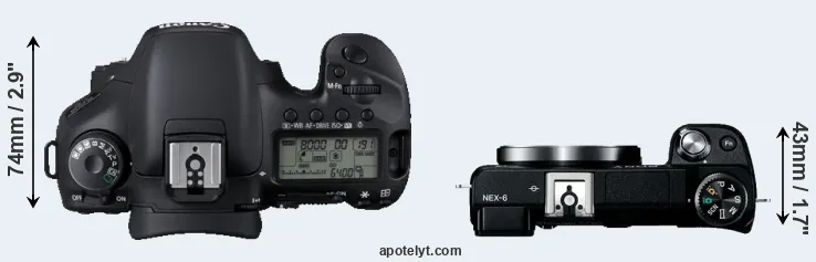 Compare 7D versus NEX-6 top