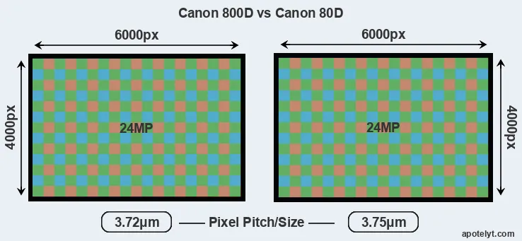 800D versus 80D MP