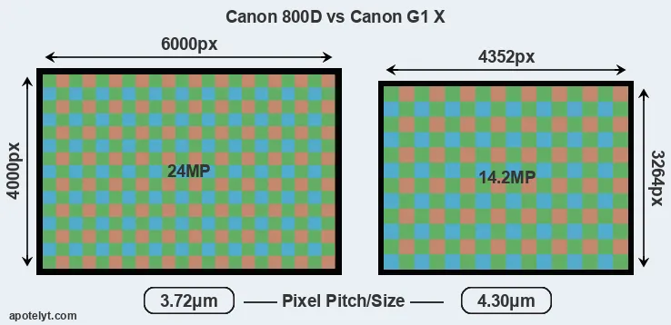 800D versus G1X MP