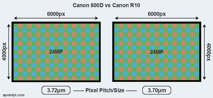 800D versus R10 MP