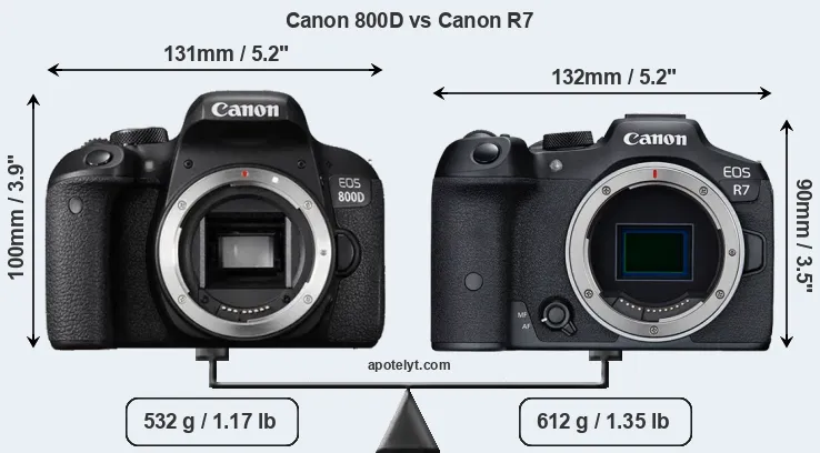 Size Canon 800D vs Canon R7