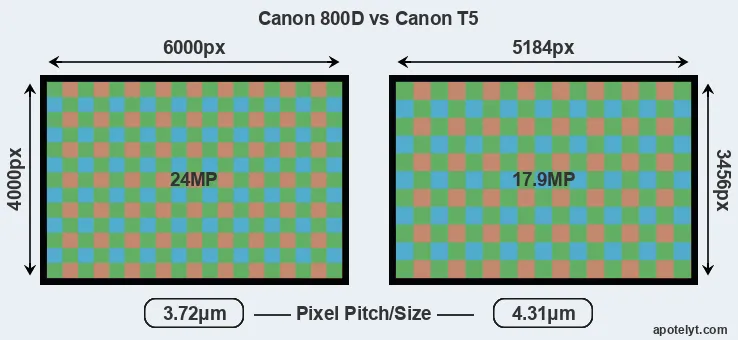 800D versus T5 MP