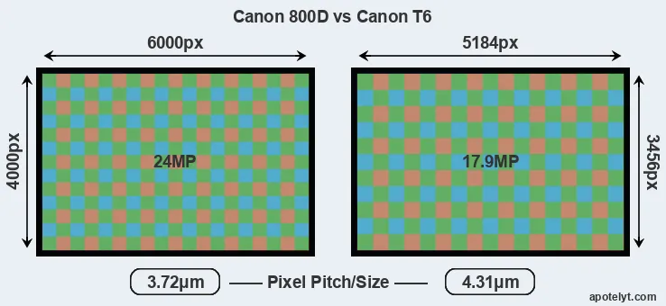 800D versus T6 MP