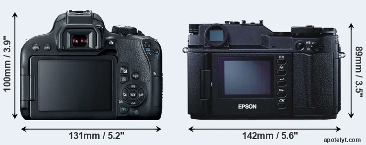 Comparison 800D or R-D1 rear