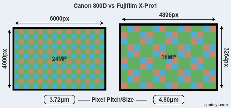800D versus X-Pro1 MP