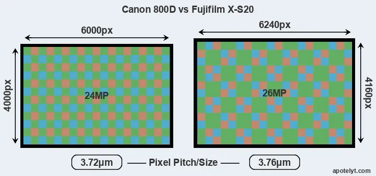 800D versus X-S20 MP