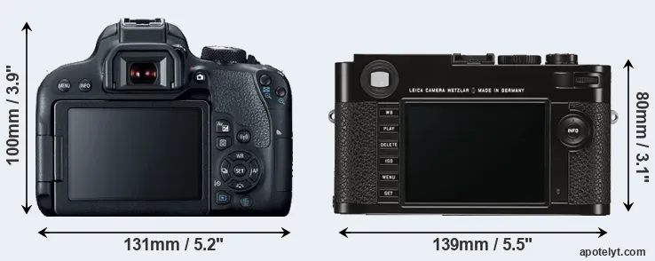 Comparison 800D or M Typ 262 rear