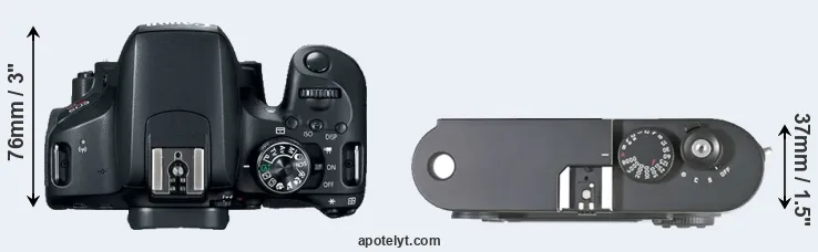 Compare 800D versus M8 top