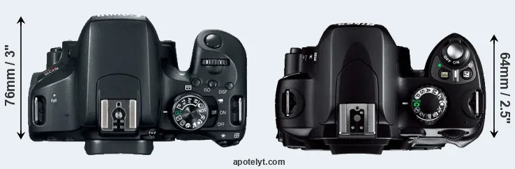 Compare 800D versus D40 top