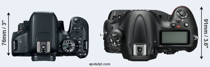 Compare 800D versus D4S top