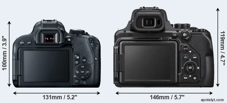 Comparison 800D or P1000 rear