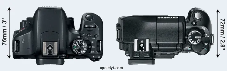 Compare 800D versus E-330 top