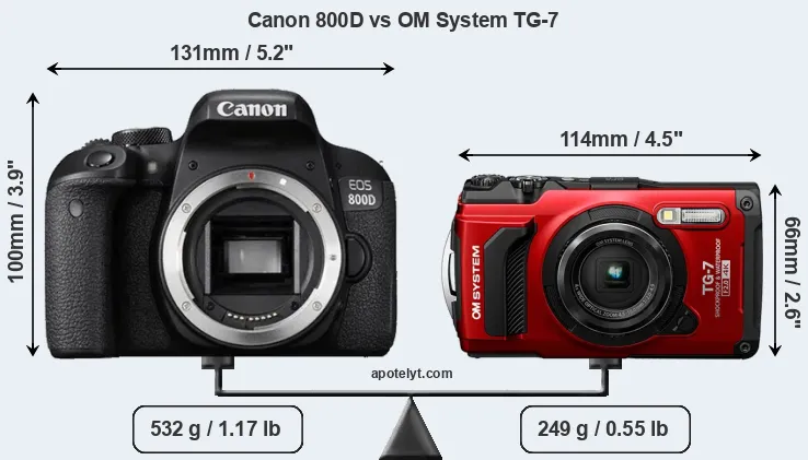 Size Canon 800D vs OM System TG-7