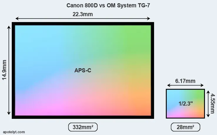 Canon 800D and OM System TG-7 sensor measures