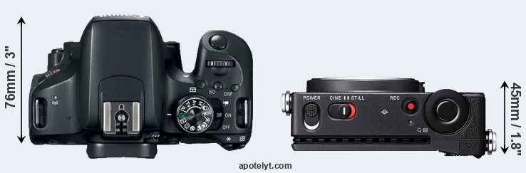 Compare 800D versus fp L top