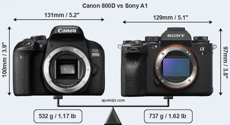 Size Canon 800D vs Sony A1