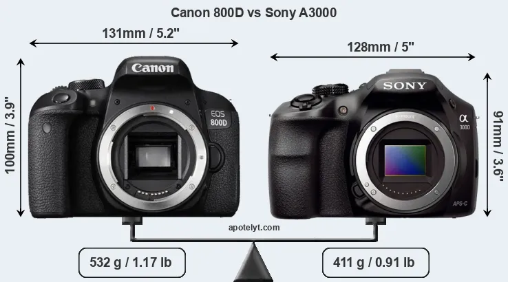 Size Canon 800D vs Sony A3000