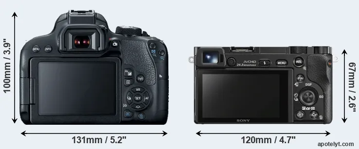 Comparison 800D or A6000 rear