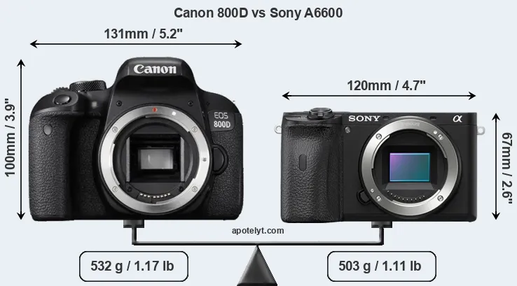 Size Canon 800D vs Sony A6600