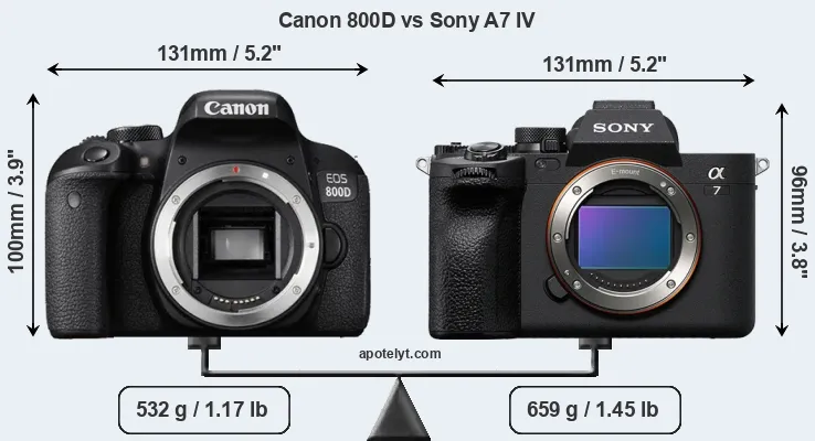 Size Canon 800D vs Sony A7 IV