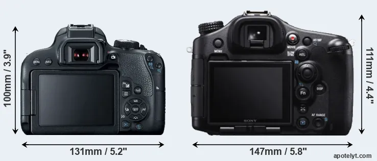 Comparison 800D or A99 rear