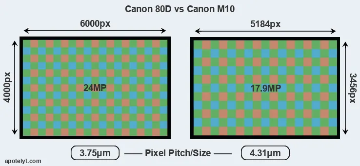 80D versus M10 MP