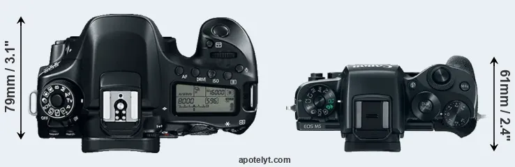 Compare 80D versus M5 top