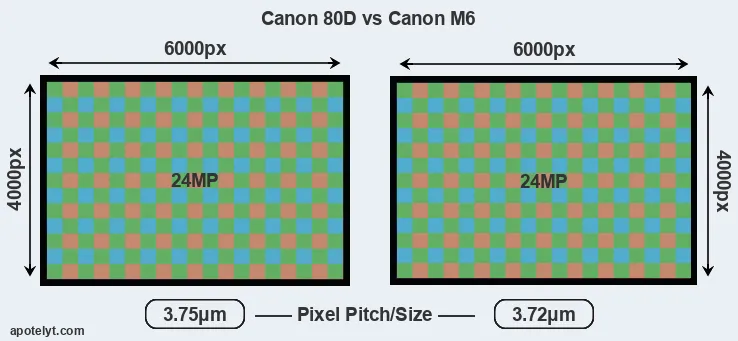 80D versus M6 MP
