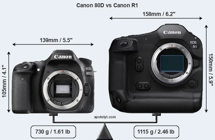 Size Canon 80D vs Canon R1