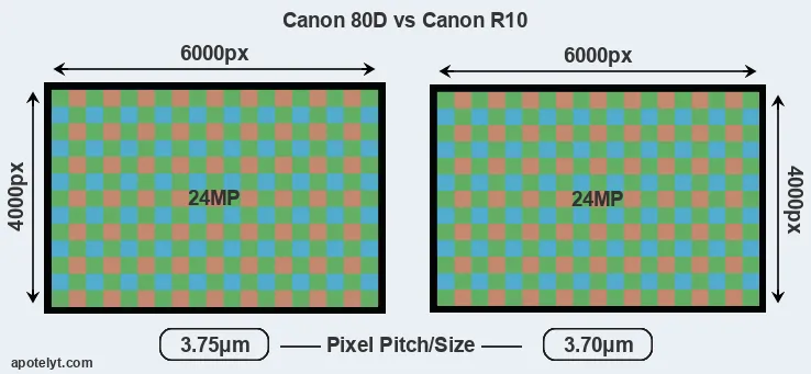 80D versus R10 MP