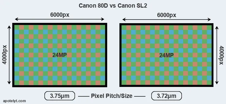 80D versus SL2 MP