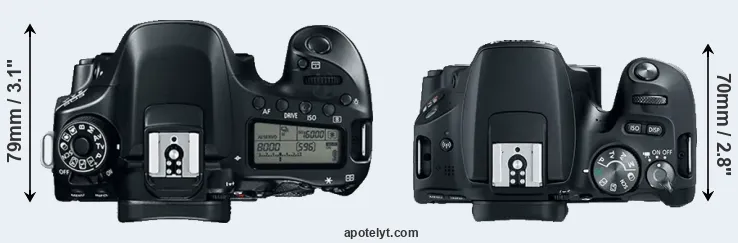 Compare 80D versus SL2 top