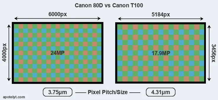 80D versus T100 MP