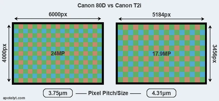 80D versus T2i MP