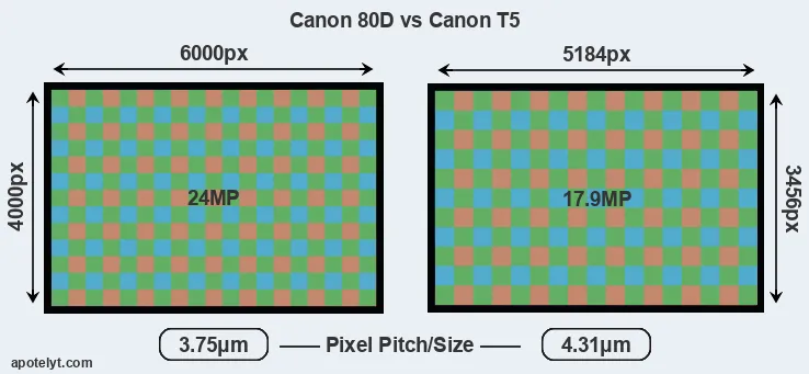 80D versus T5 MP