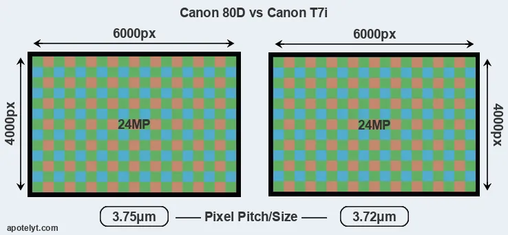 80D versus T7i MP