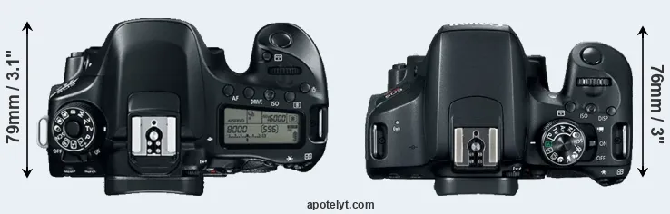 Compare 80D versus T7i top