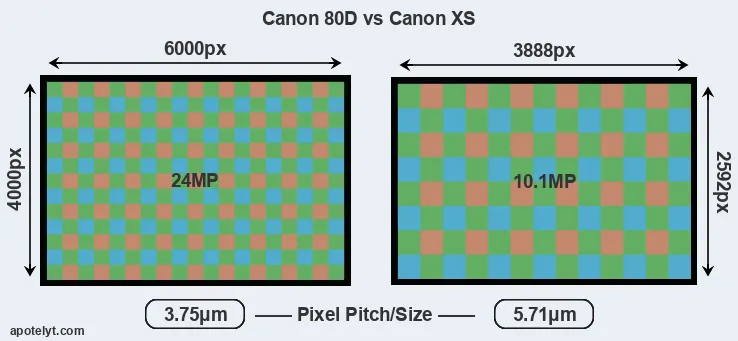 80D versus XS MP