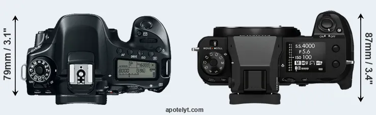 Compare 80D versus GFX 100S top