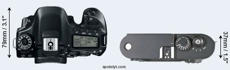 Compare 80D versus M8 top