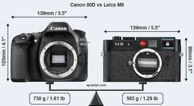 Size Canon 80D vs Leica M9