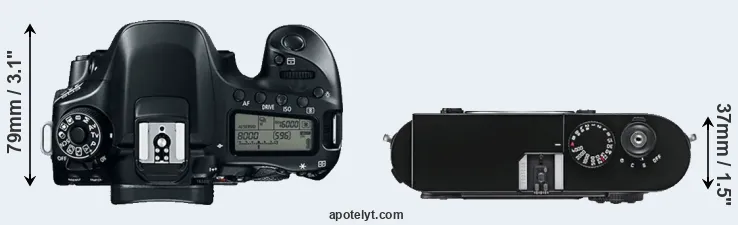 Compare 80D versus M9 top