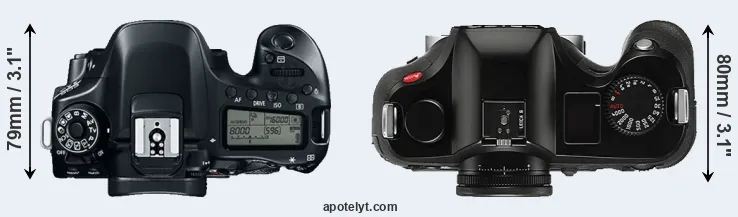 Compare 80D versus S Typ 006 top