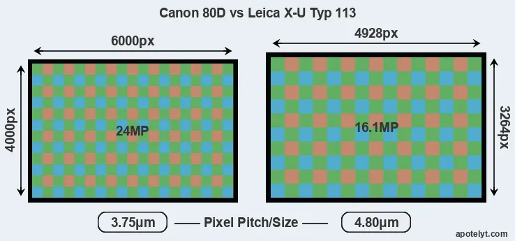 80D versus X-U Typ 113 MP
