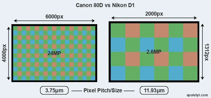80D versus D1 MP