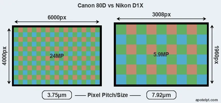 80D versus D1X MP