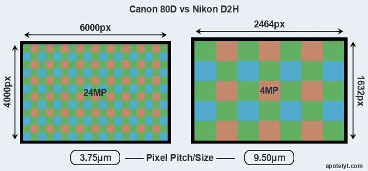 80D versus D2H MP