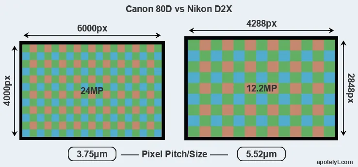 80D versus D2X MP